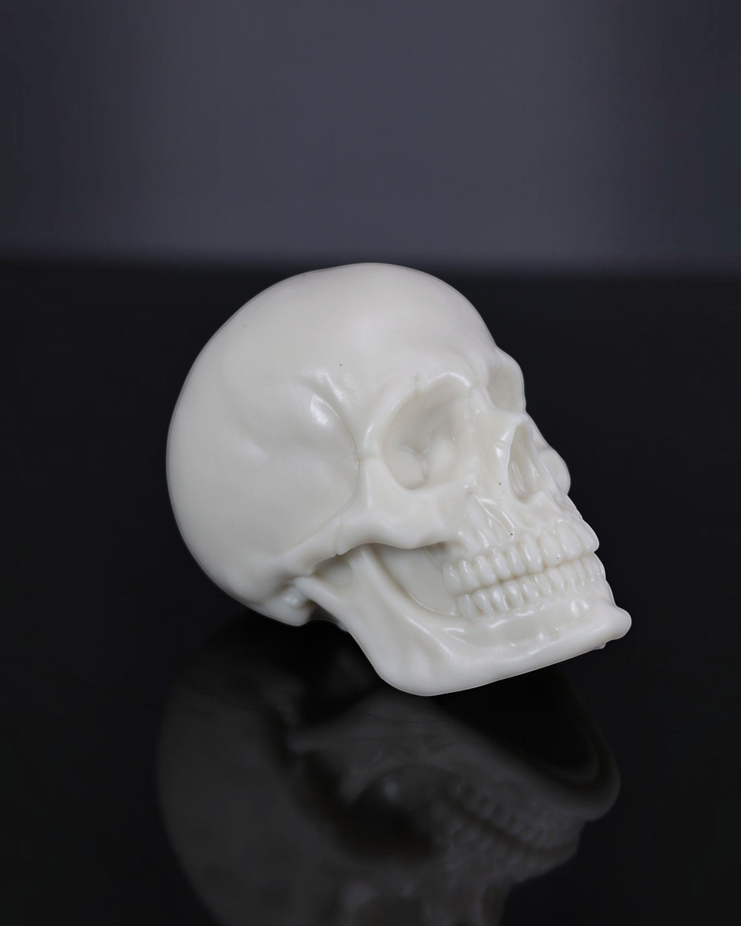 Yorick - Large, Medium