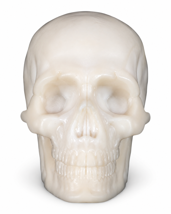 Yorick